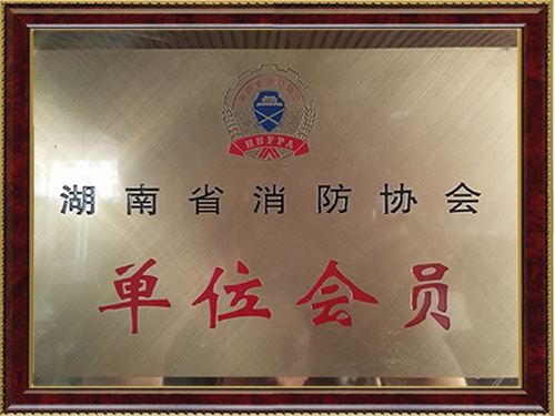 湖南省消防协会单位会员